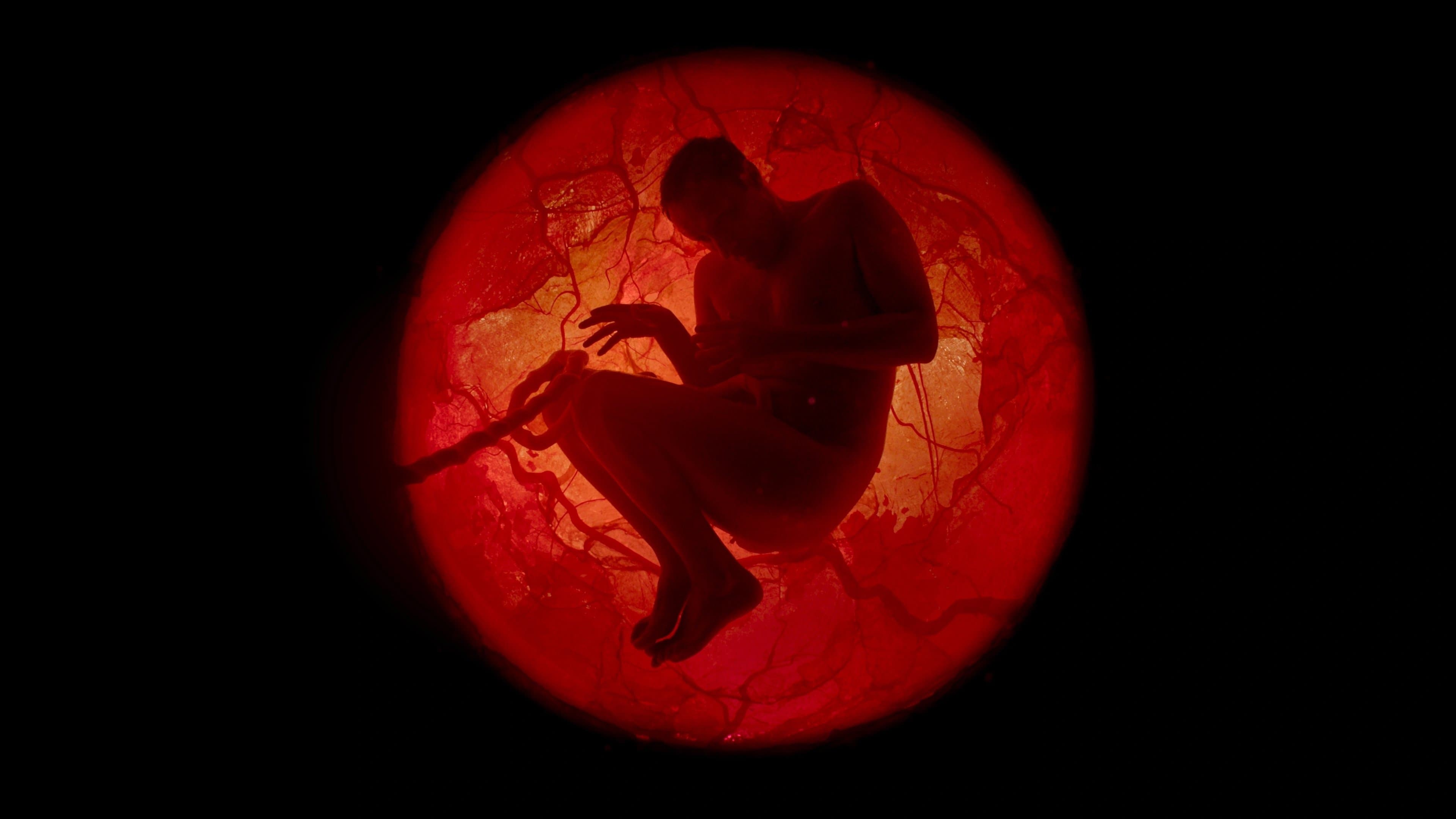 Poster backdrop for A Whole Lifetime with Jamie Demetriou