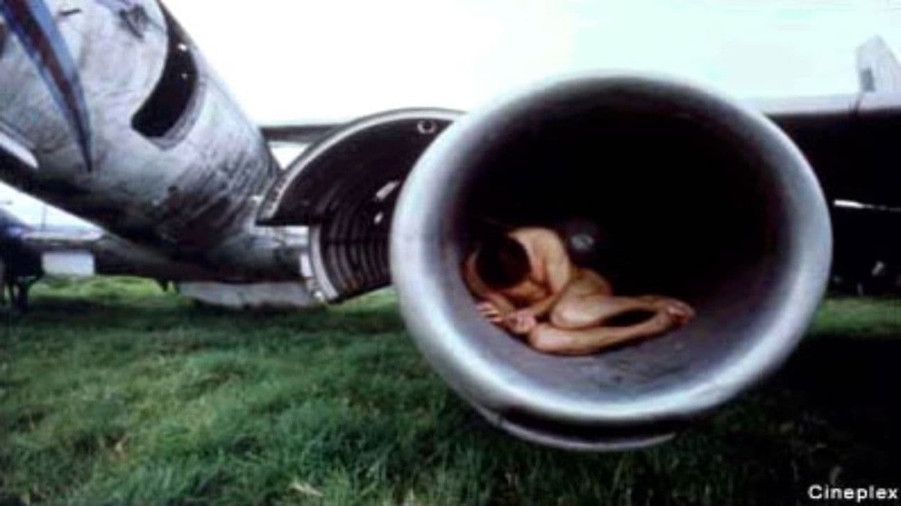 Poster backdrop for Terminal