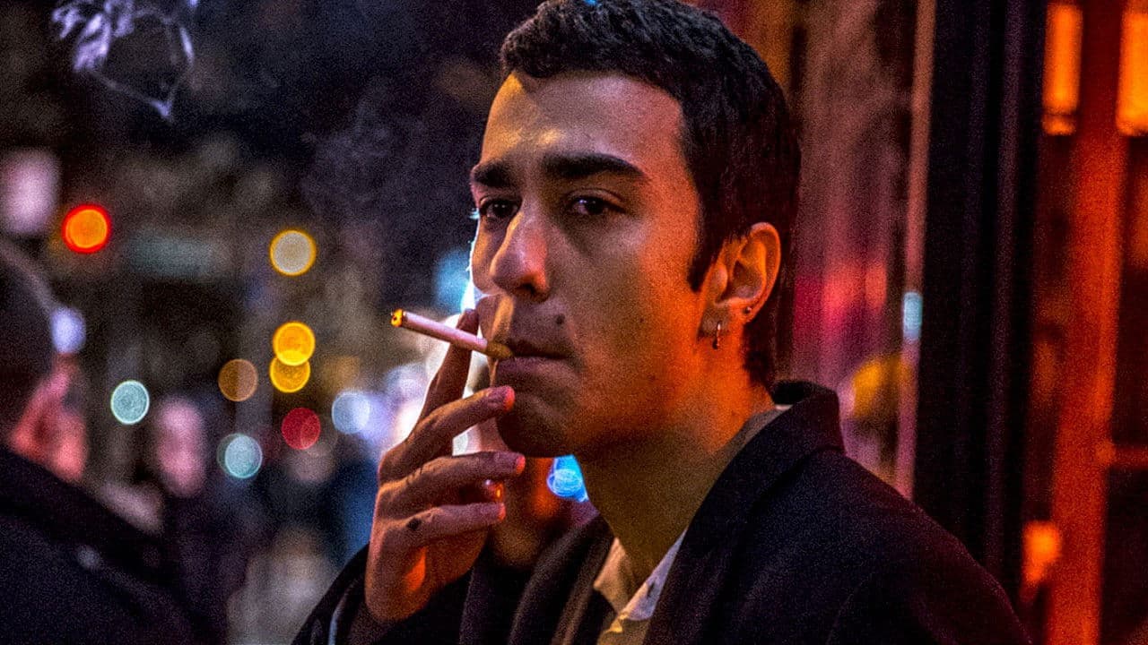 Poster backdrop for The Cat and the Moon