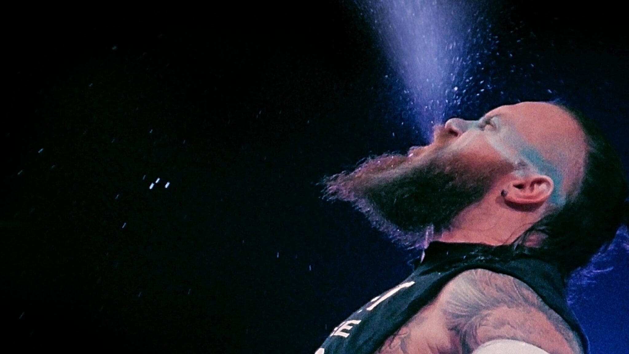 Poster backdrop for Wrestlers