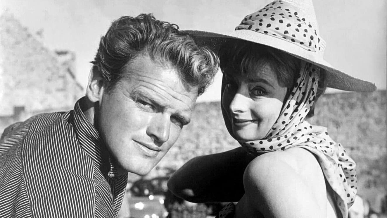 Poster backdrop for True as a Turtle