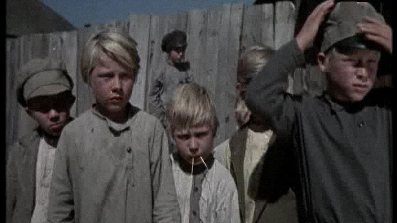 Poster backdrop for The Secret of the Green Forest