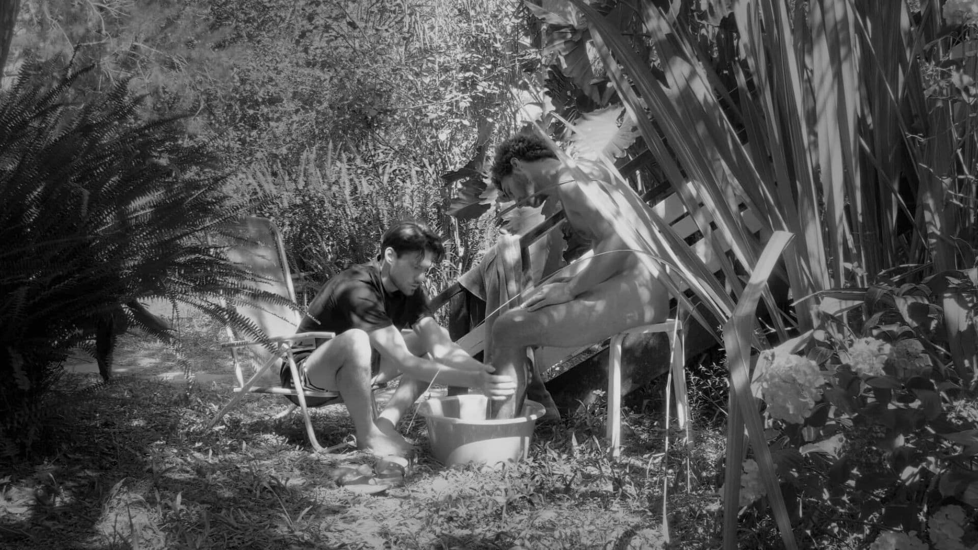 Poster backdrop for Perro perro