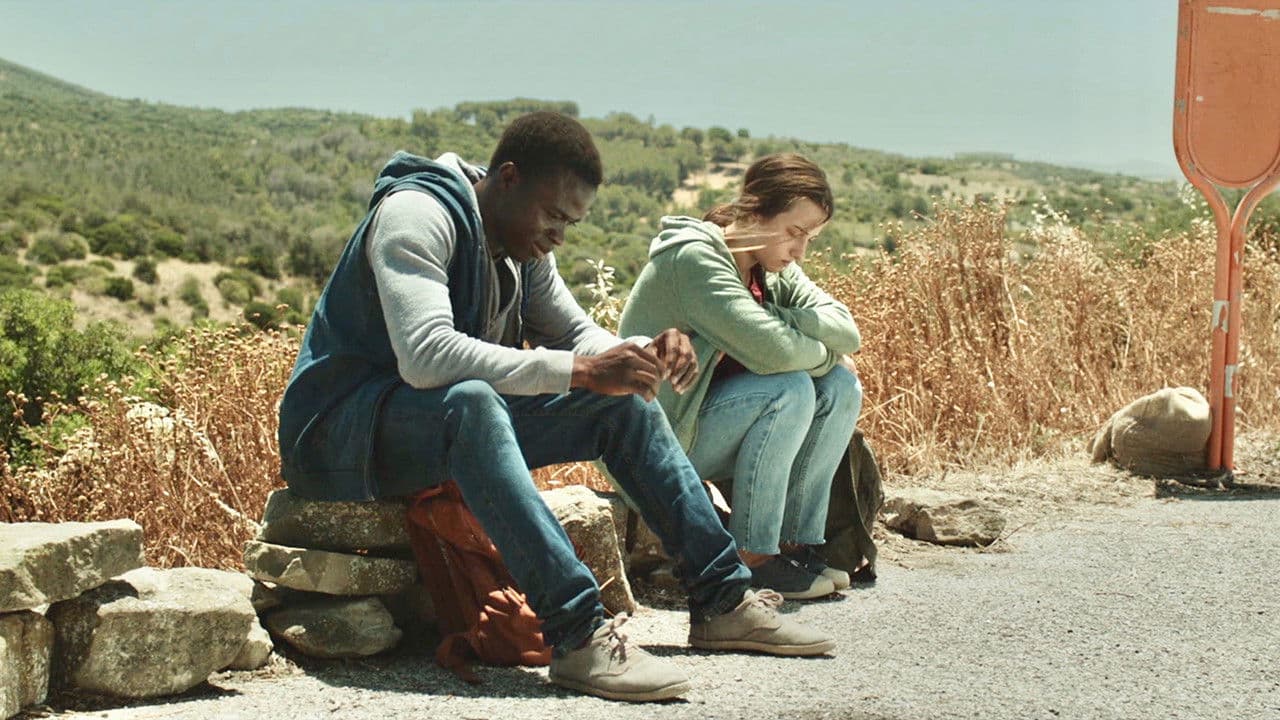 Poster backdrop for Twin Flower