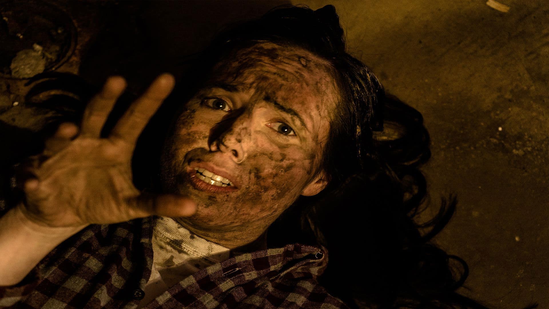 Poster backdrop for The Girl in the Crawlspace