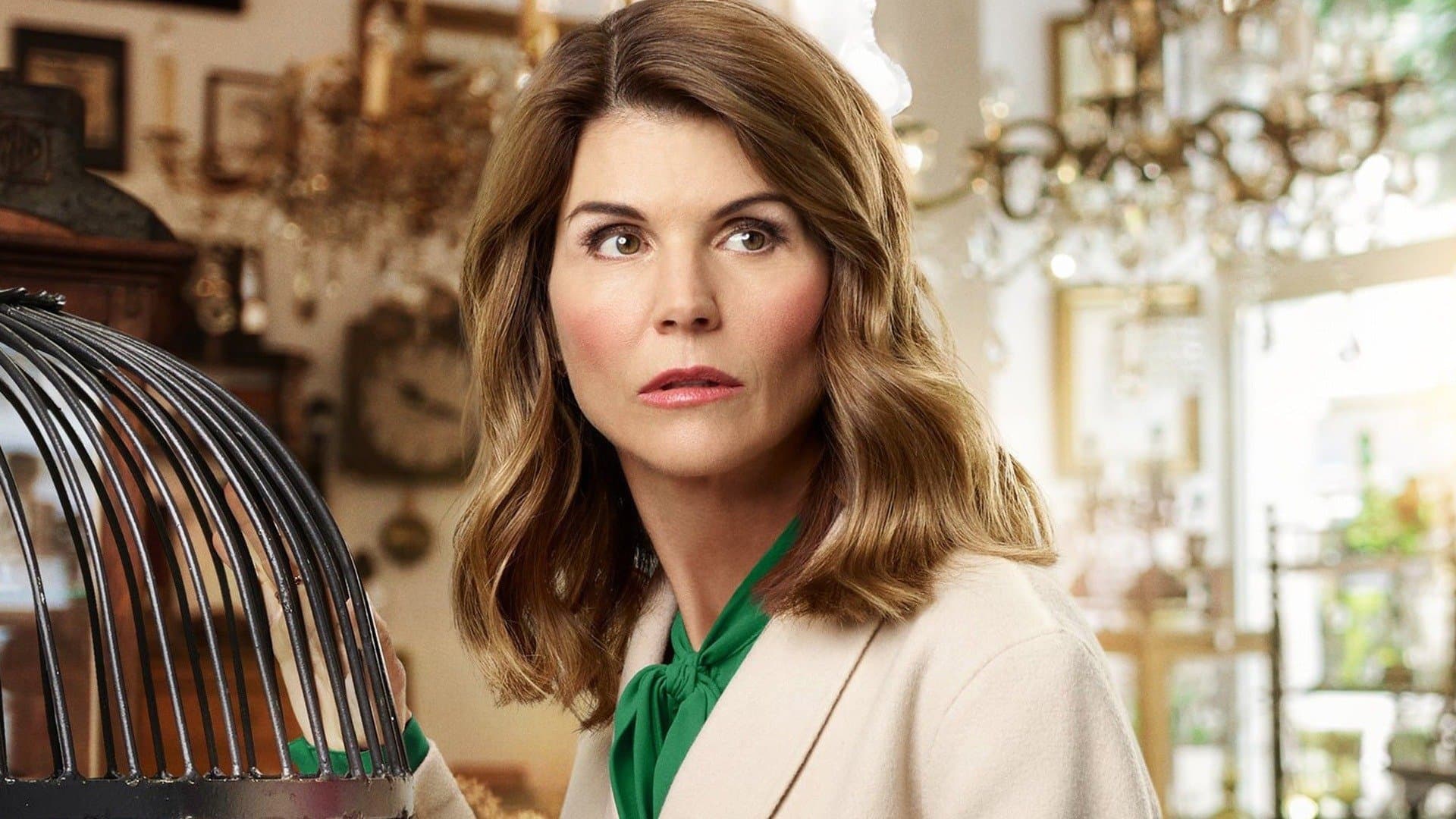 Poster backdrop for Garage Sale Mysteries: Searched & Seized