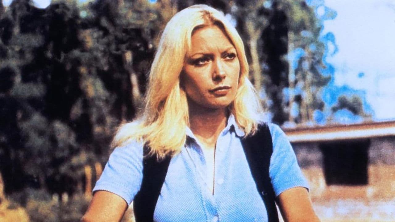 Poster backdrop for The Hassled Hooker