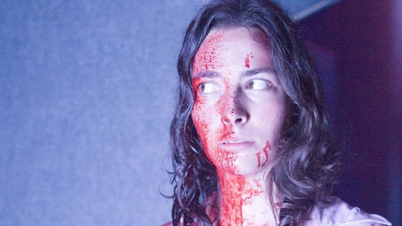 Poster backdrop for The Last House in the Woods