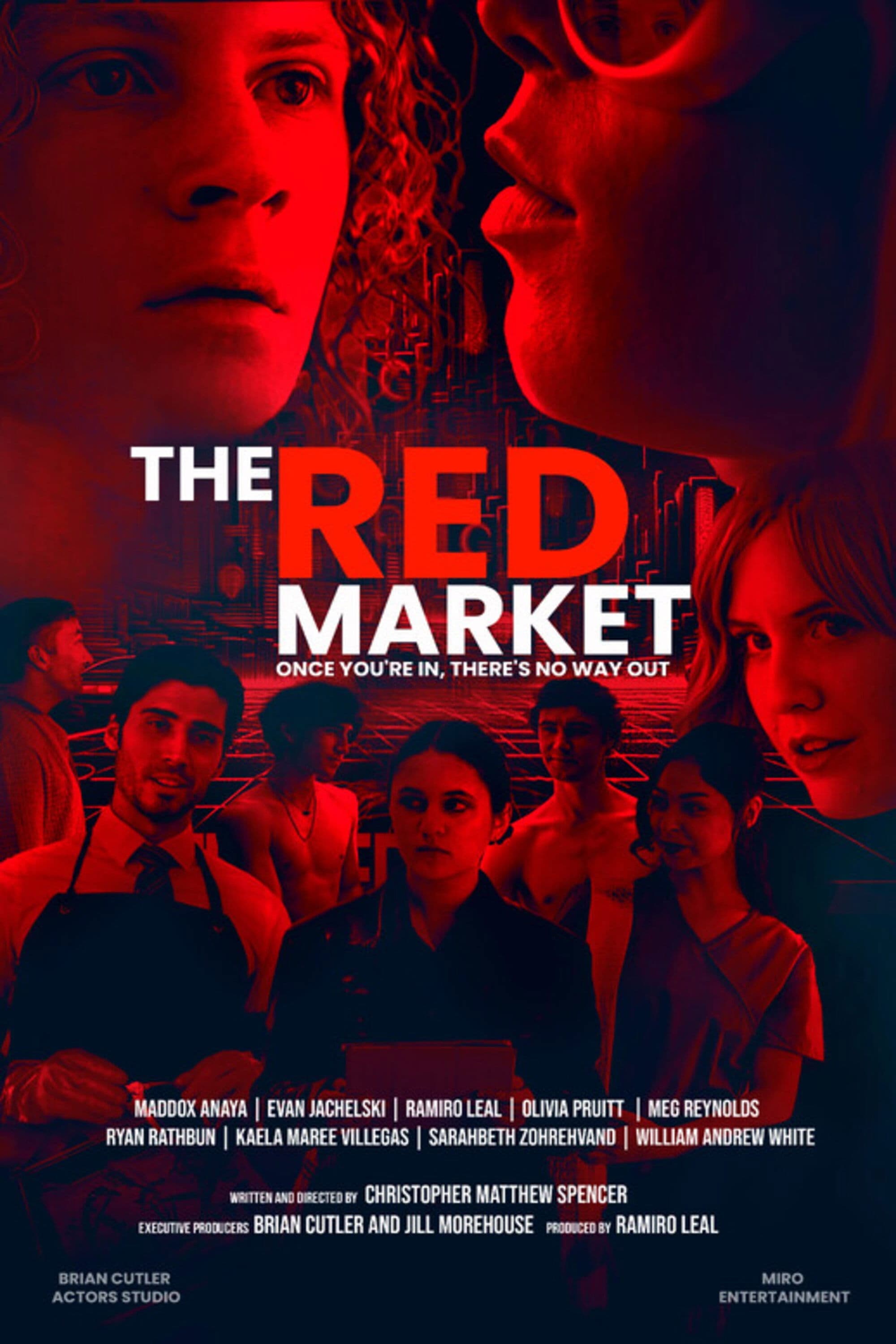 Poster backdrop for The Red Market