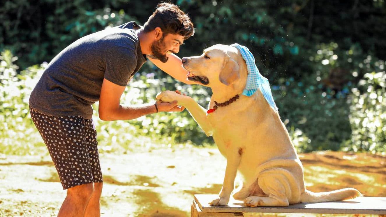 Poster backdrop for Anbulla Ghilli