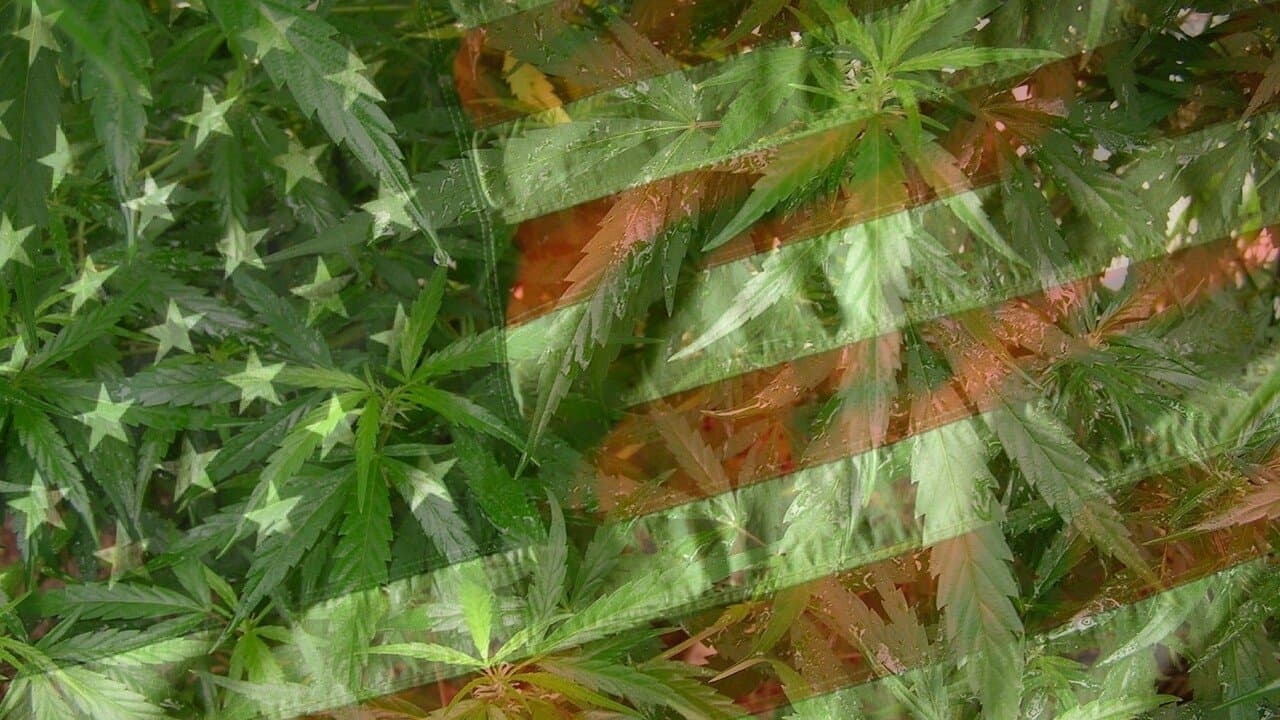 Poster backdrop for Grass