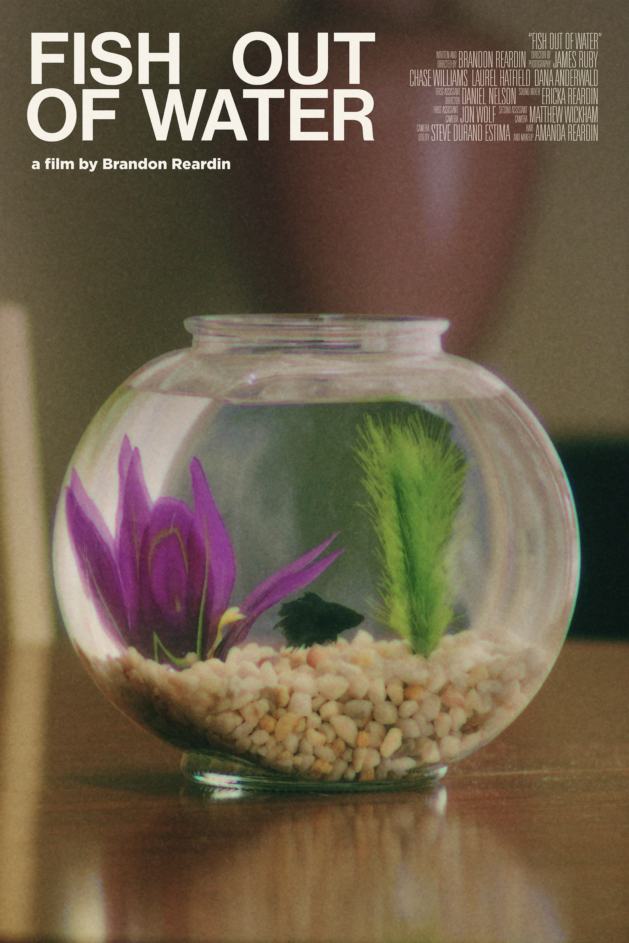 Poster backdrop for Fish Out of Water