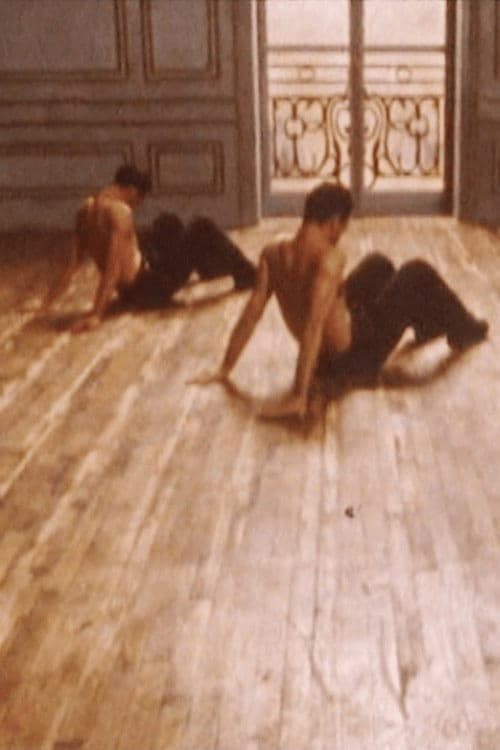 Poster backdrop for Les Raboteurs