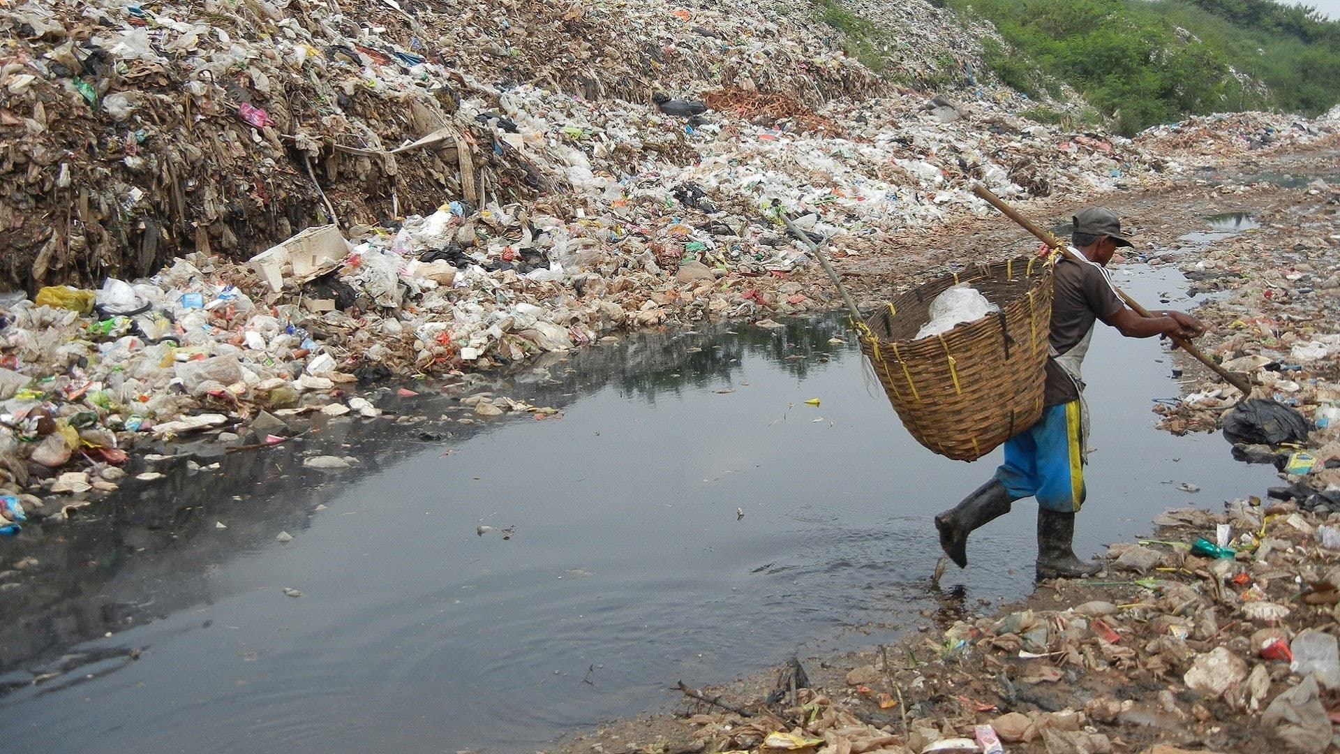 Poster backdrop for Bag It