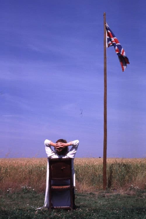 Poster backdrop for The Great Indoors