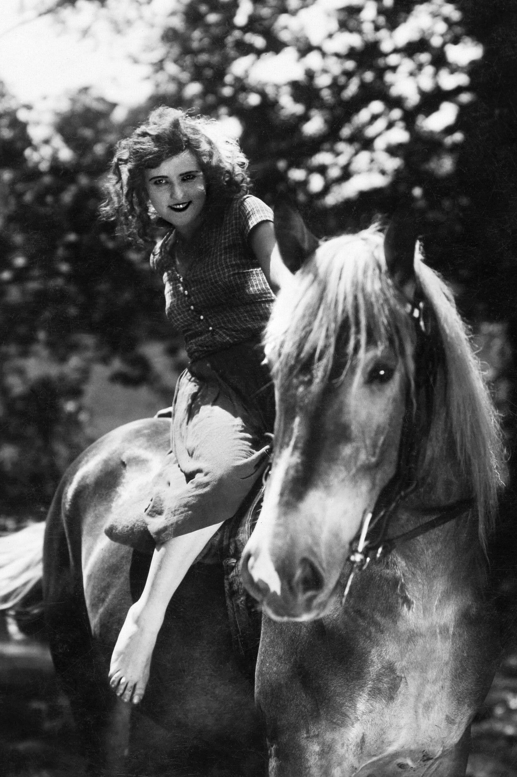 Poster backdrop for Pohádka máje