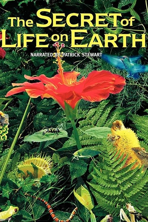Poster backdrop for The Secret of Life on Earth