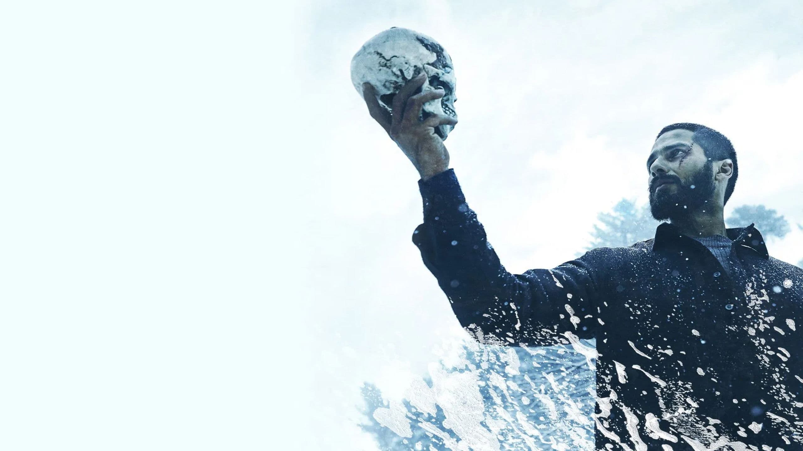 Poster backdrop for Haider