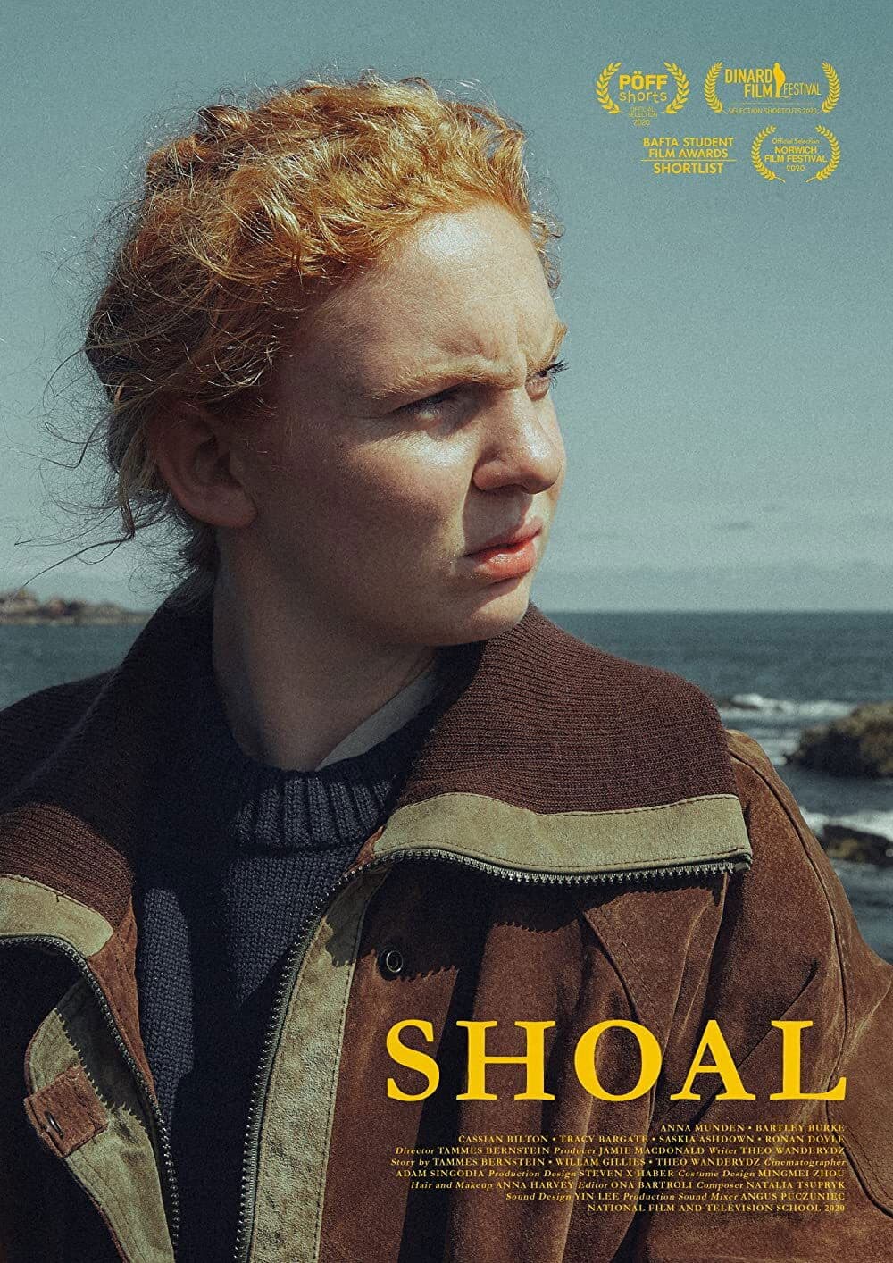 Poster backdrop for Shoal