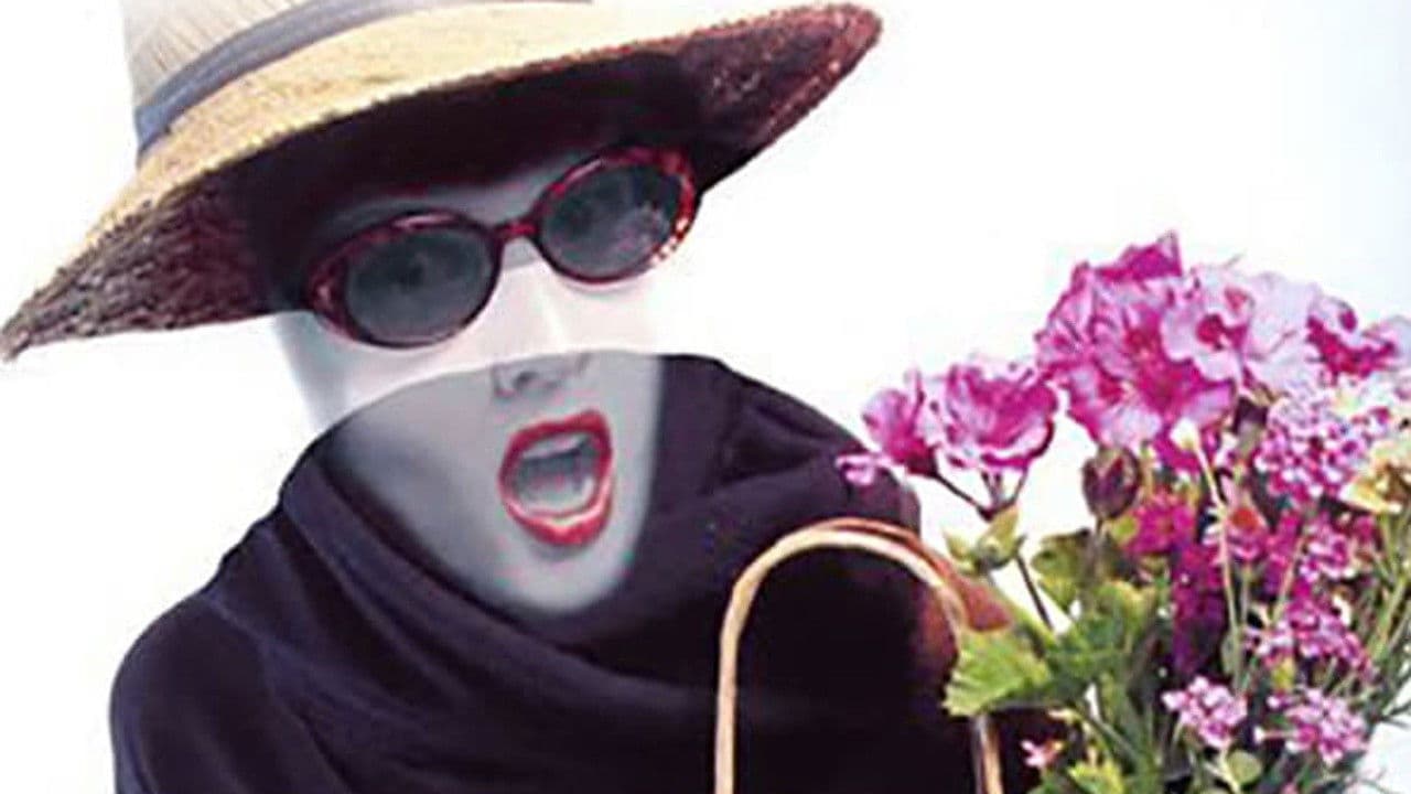 Poster backdrop for Invisible Mom II