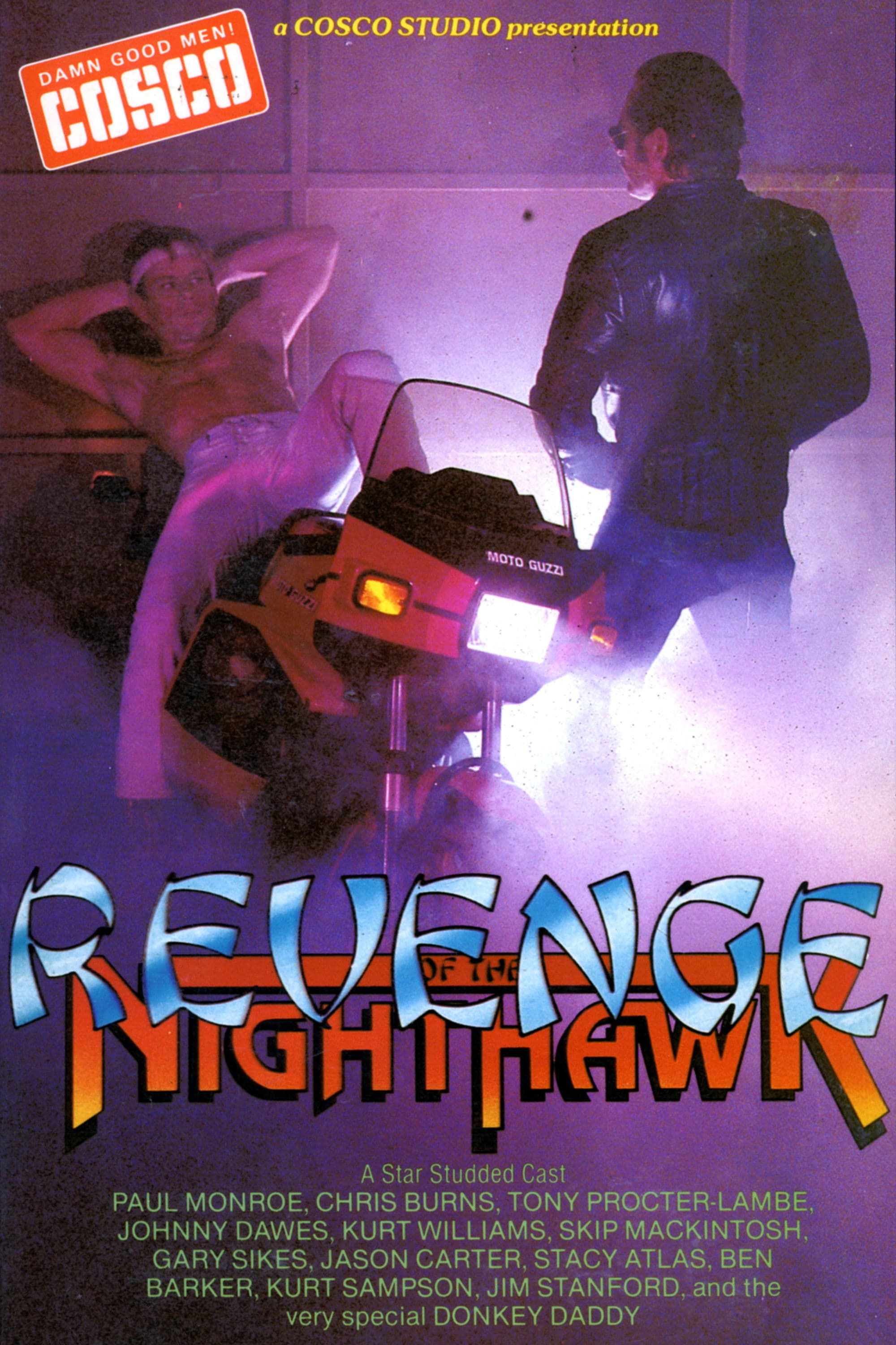Poster backdrop for Revenge of the Nighthawk in Leather