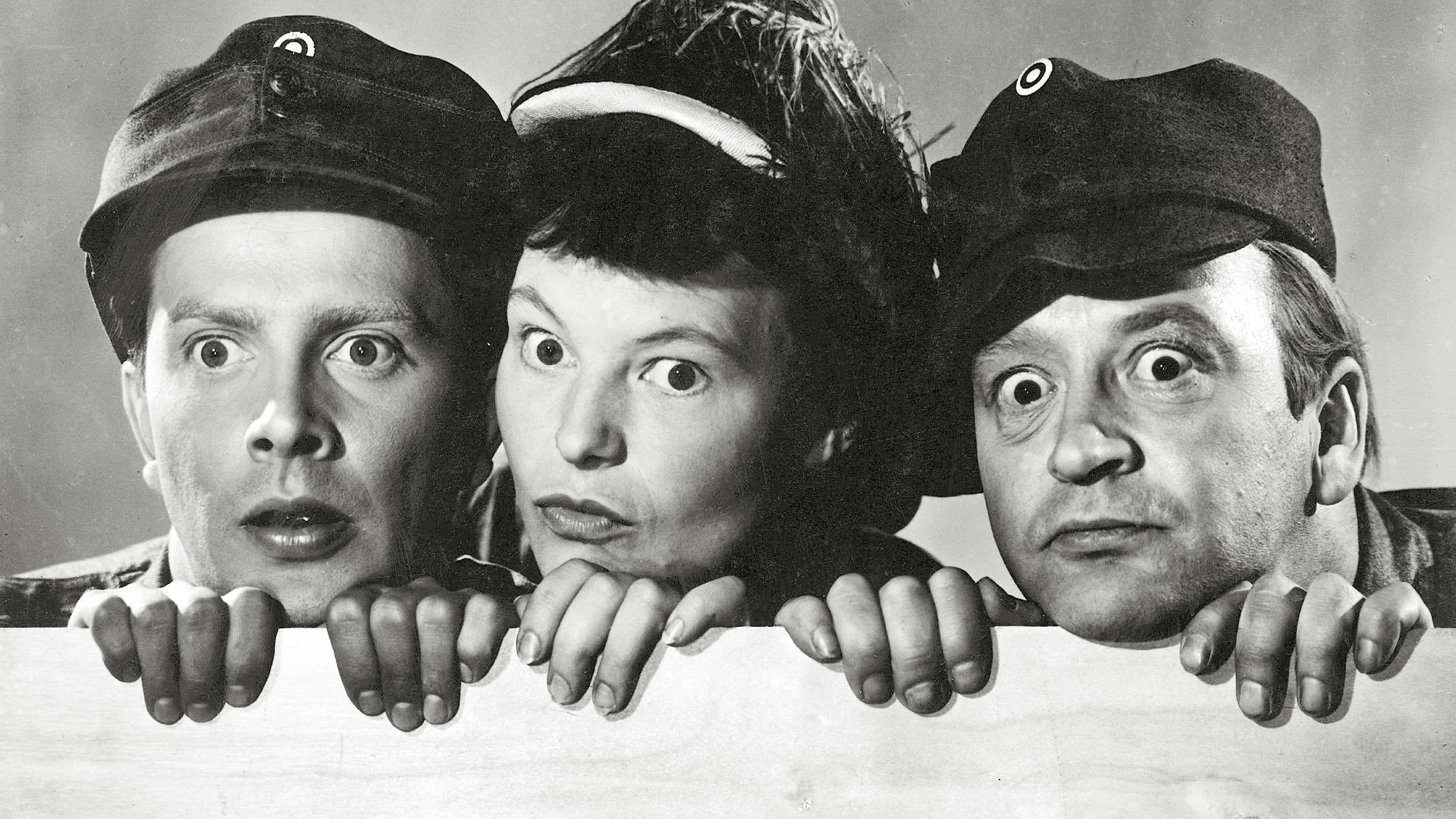 Poster backdrop for Komppanian neropatit