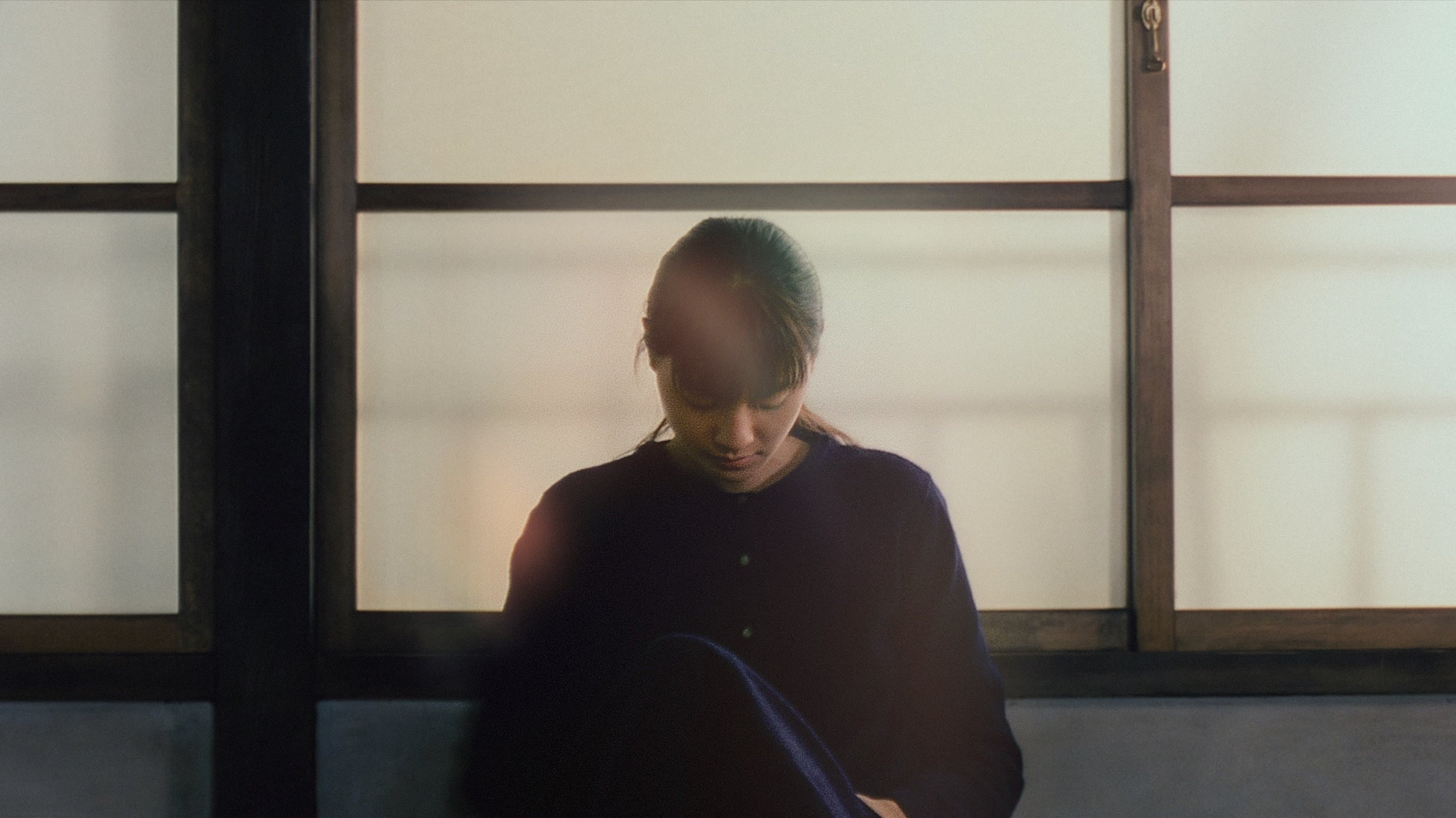 Poster backdrop for Maborosi