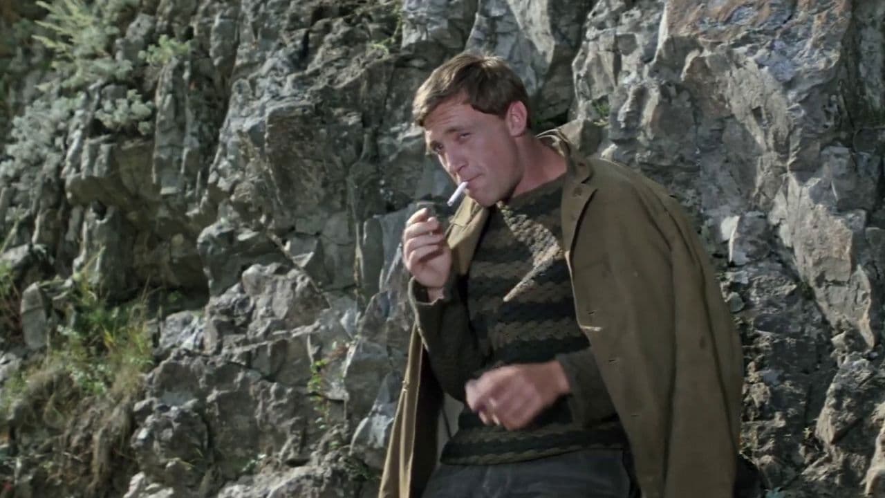 Poster backdrop for The Master of Taiga