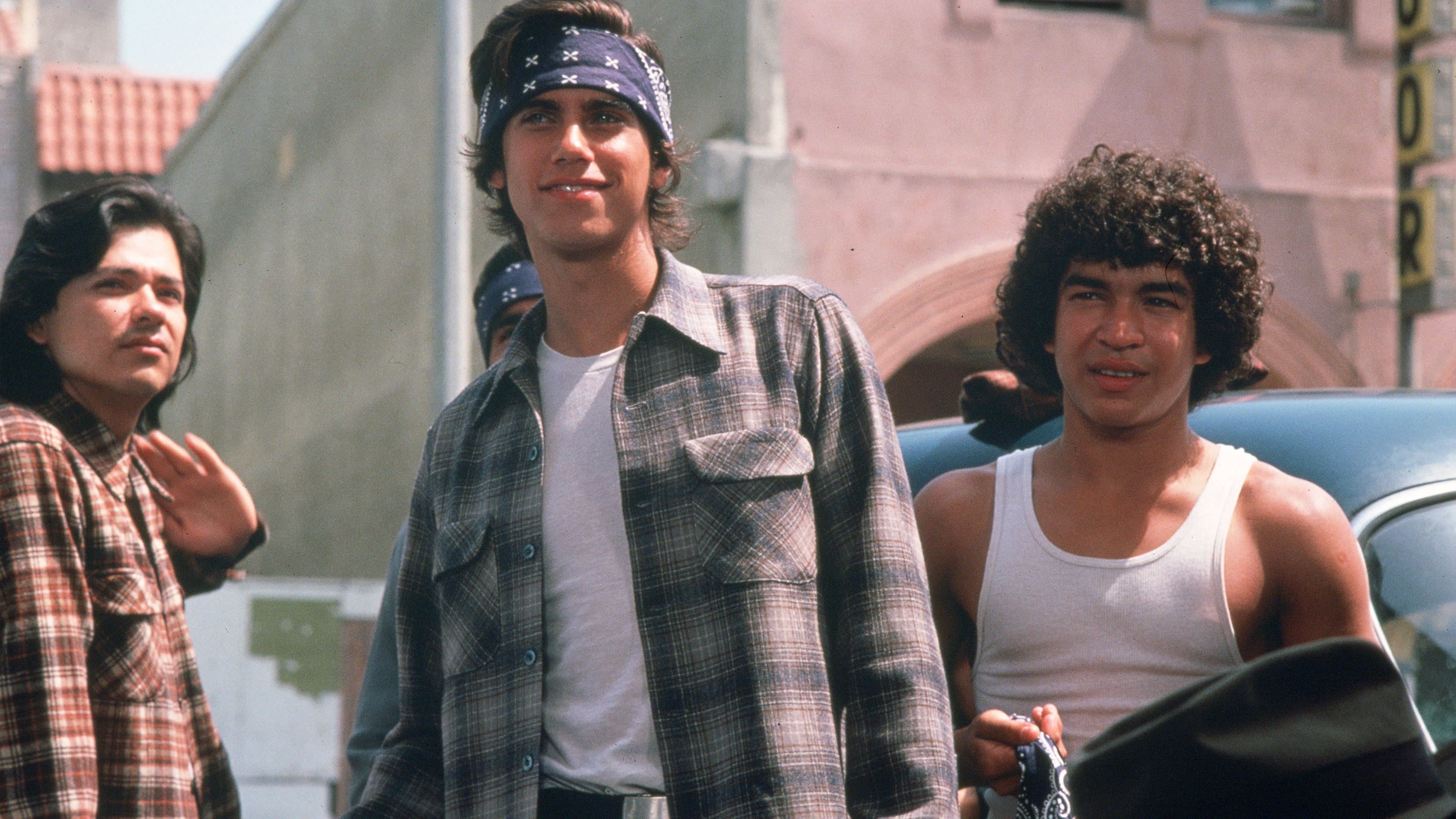 Poster backdrop for Walk Proud