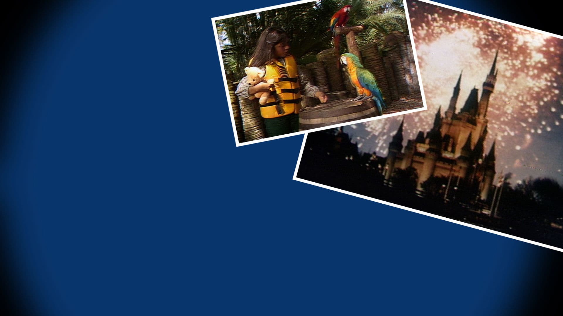 Poster backdrop for The Mouseketeers at Walt Disney World