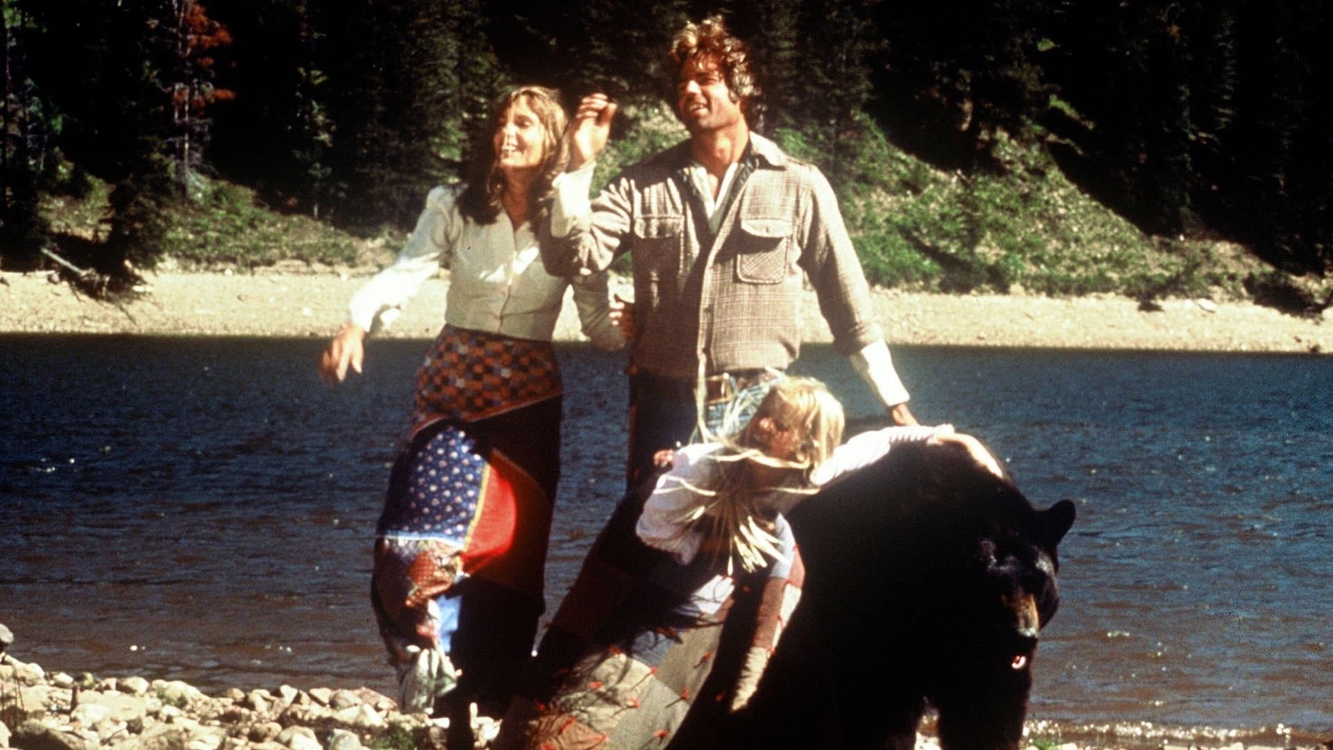 Poster backdrop for The Adventures of the Wilderness Family