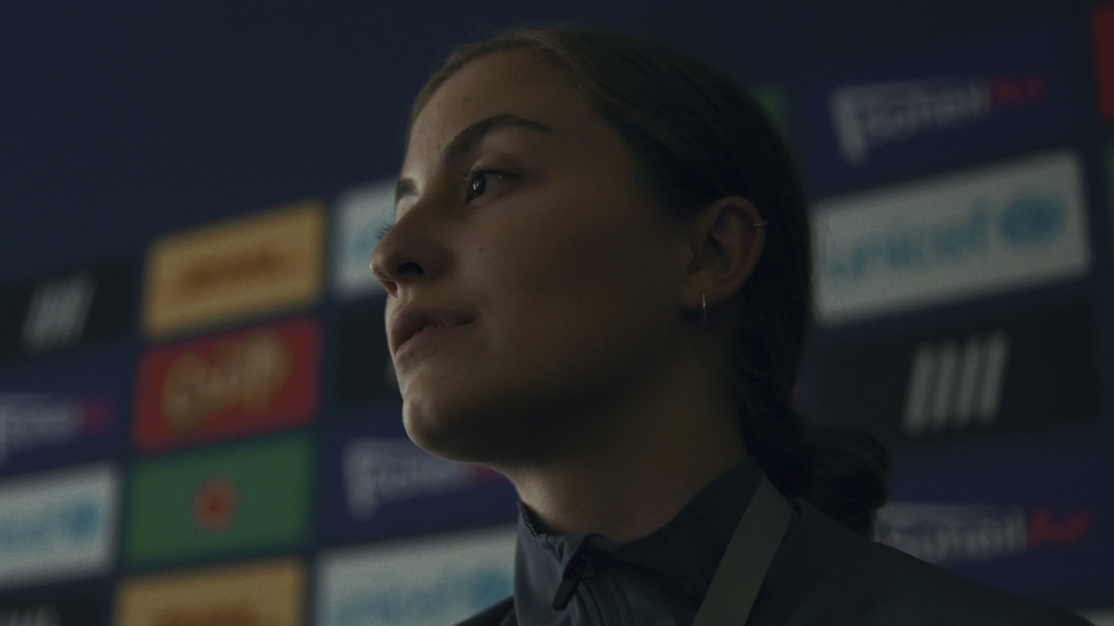 Poster backdrop for Conference of the Birds