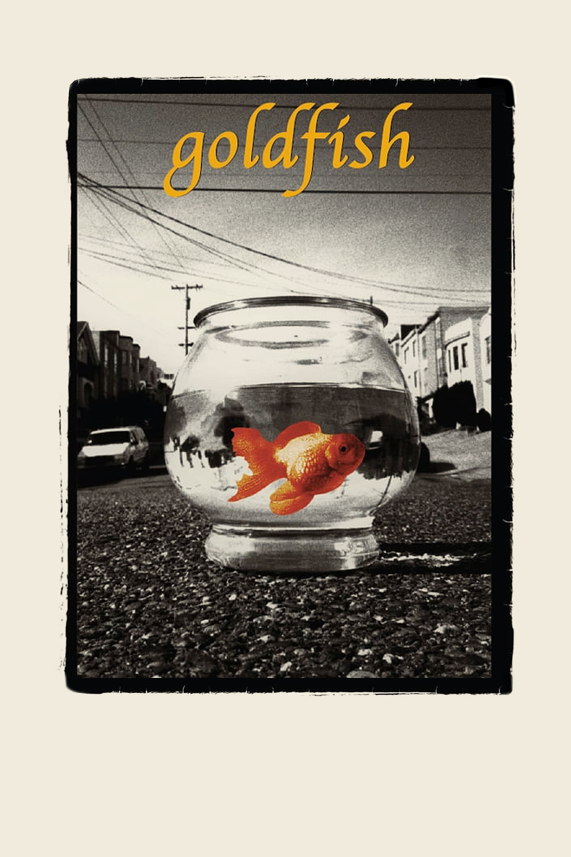 Poster backdrop for Goldfish