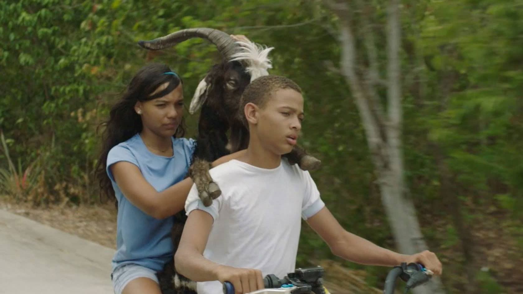 Poster backdrop for Bad Lucky Goat