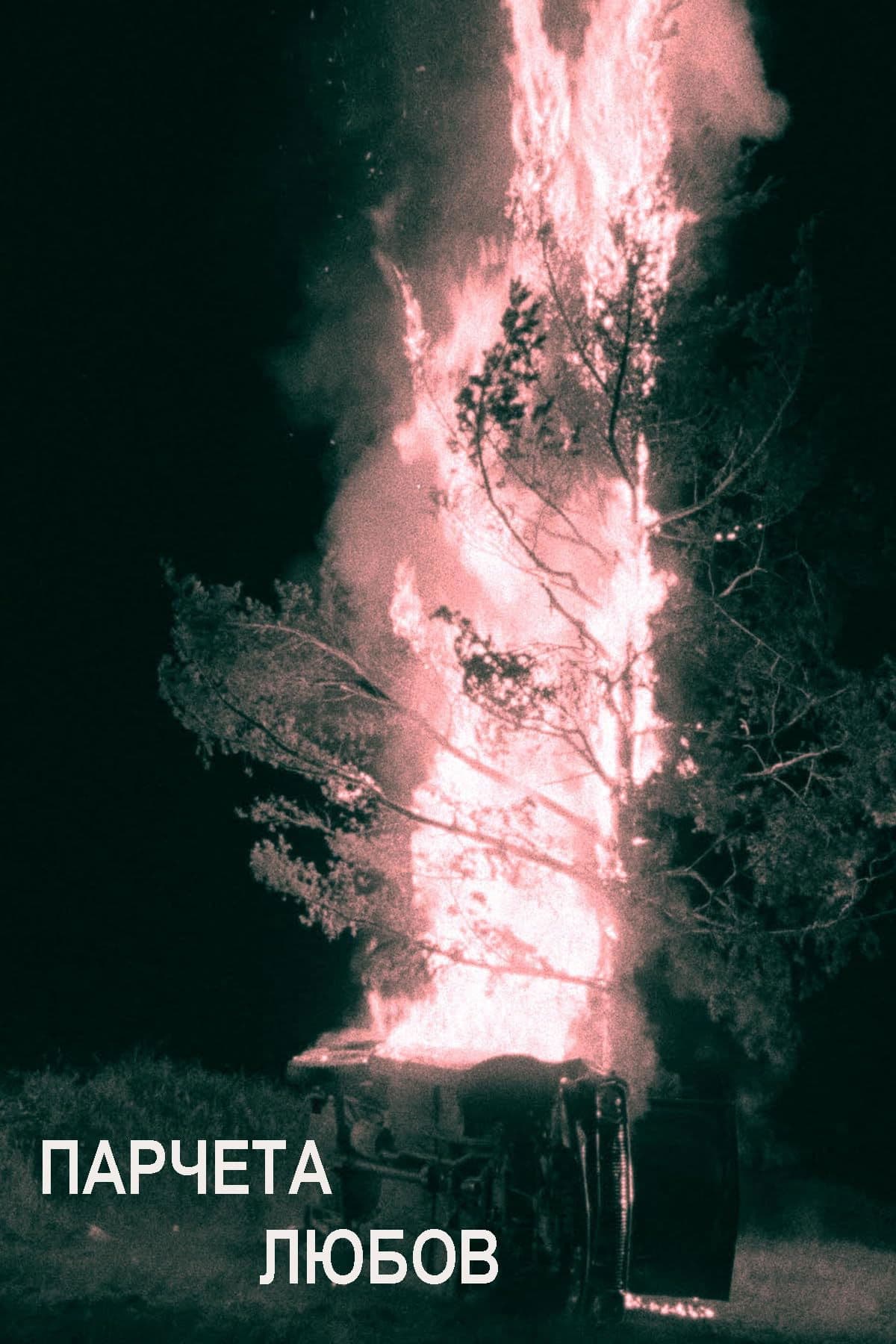 Poster backdrop for Pieces of love