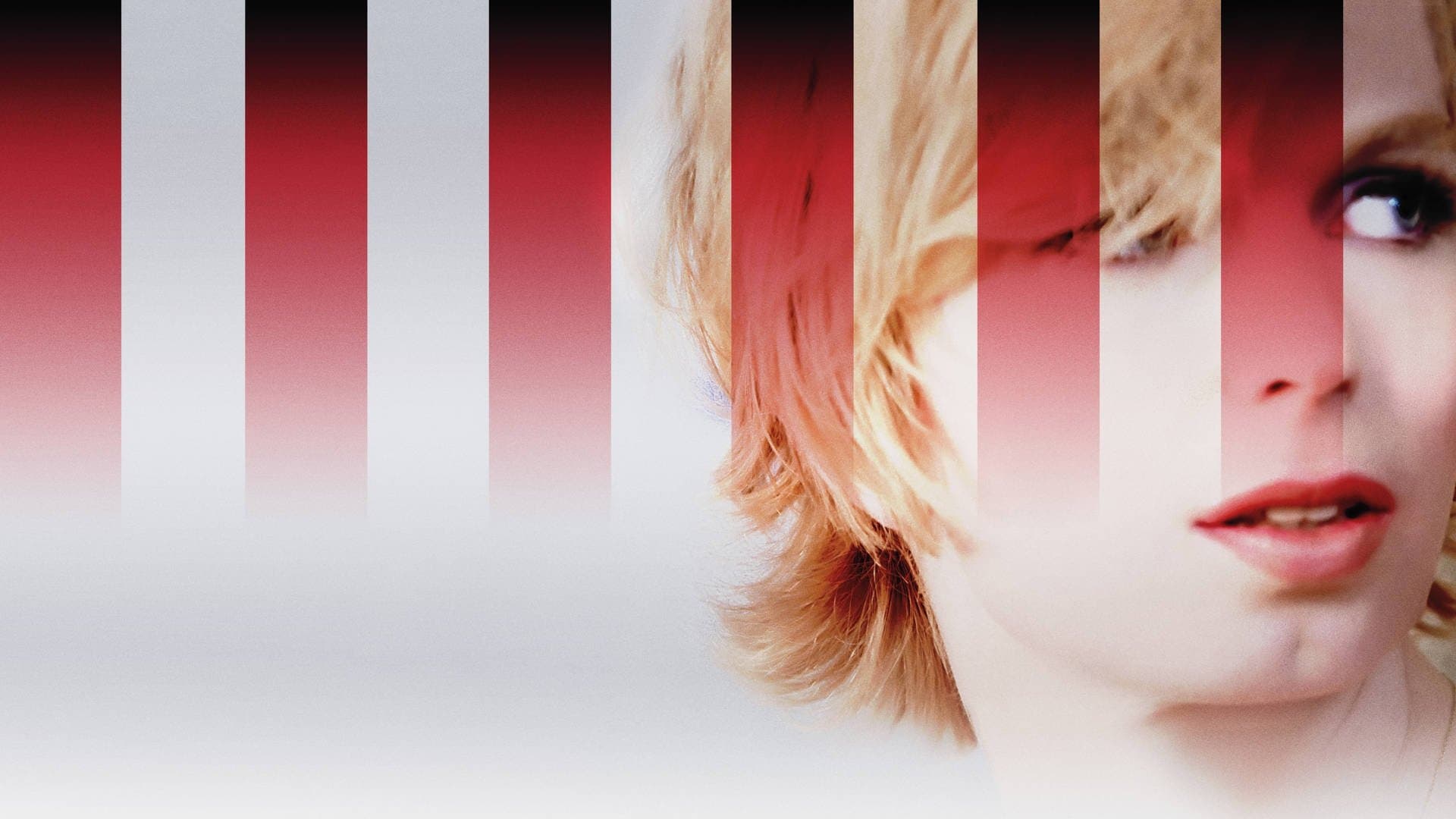 Poster backdrop for XY Chelsea