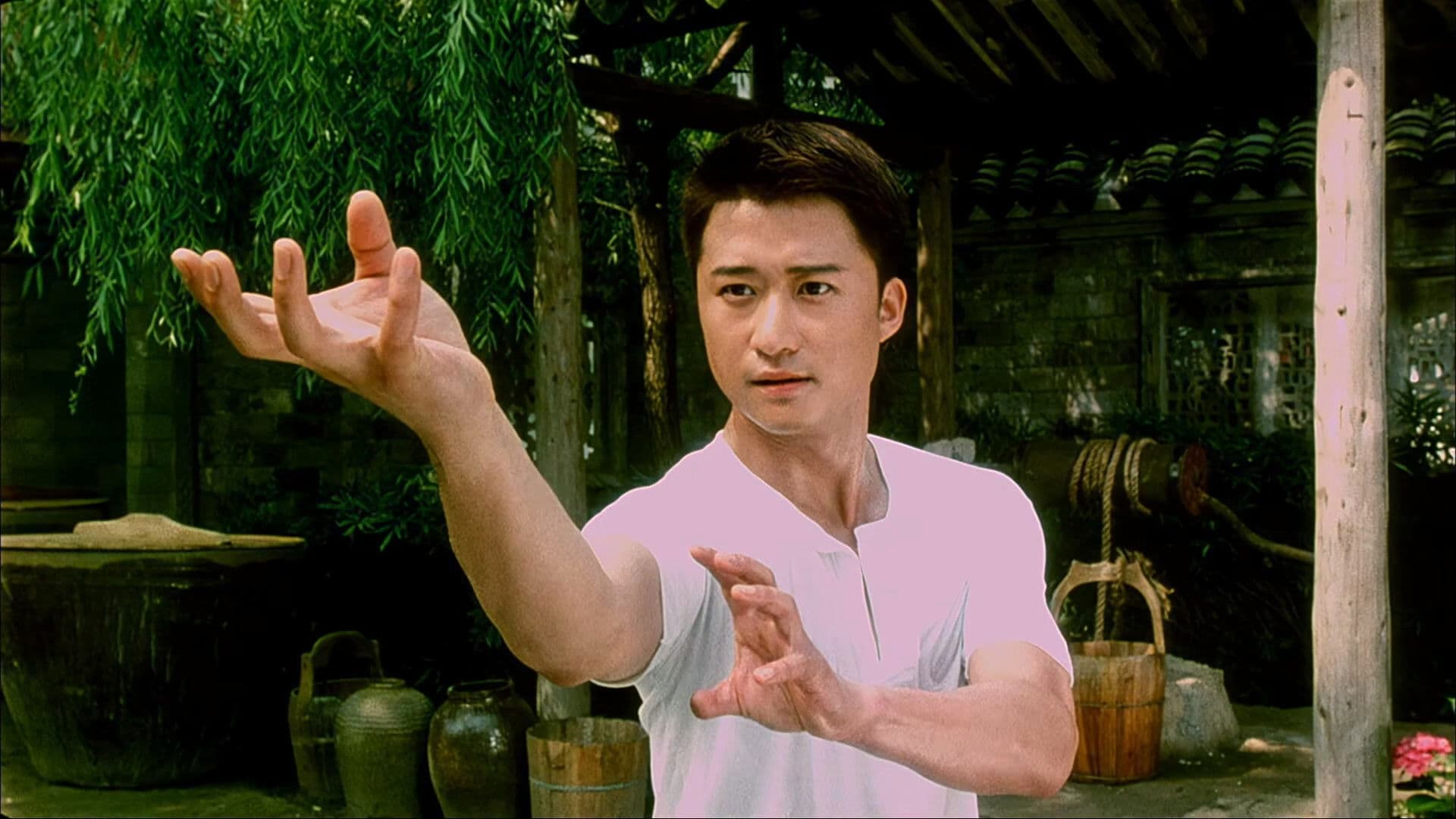 Poster backdrop for Drunken Monkey