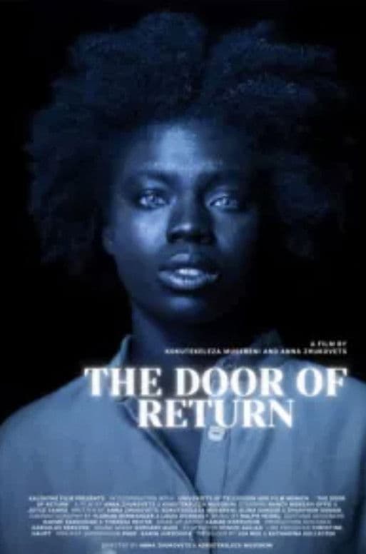 Poster backdrop for The Door of Return