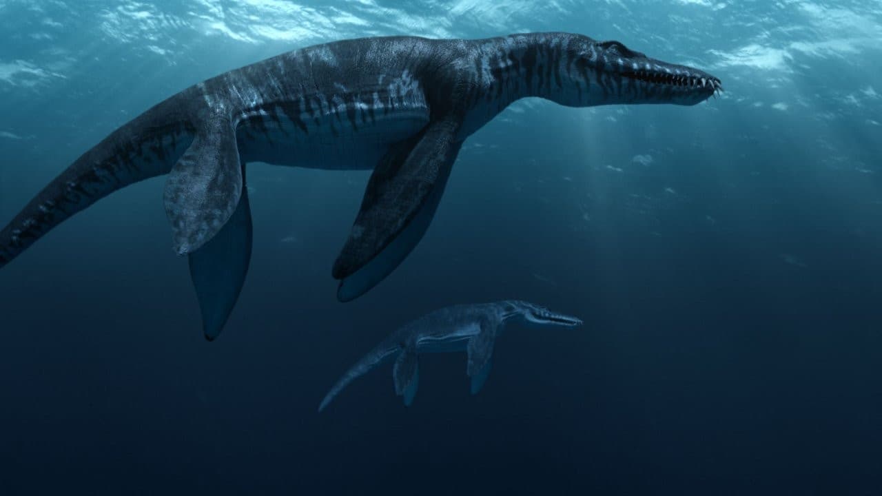Poster backdrop for Sea Rex 3D: Journey to a Prehistoric World
