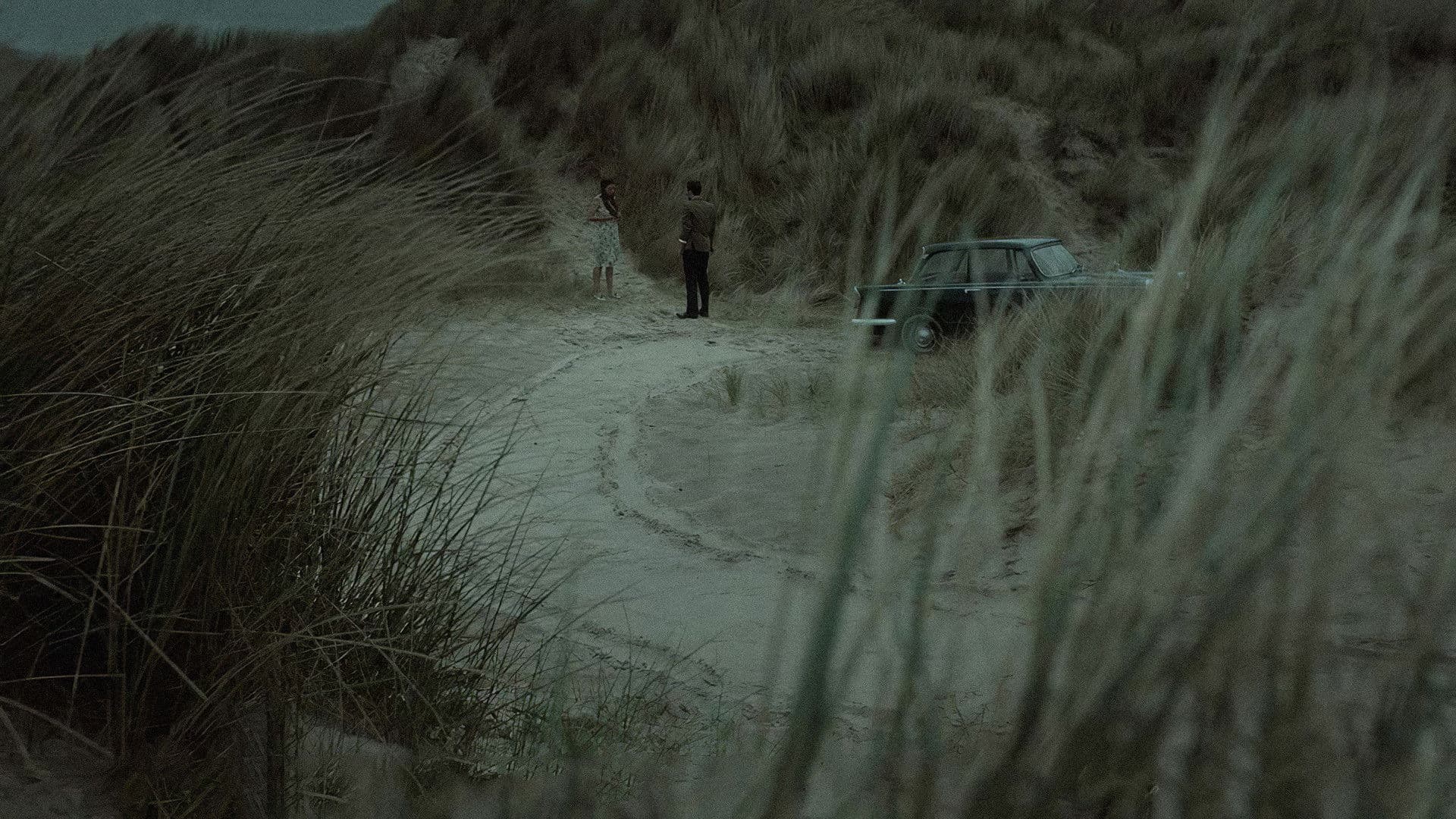 Poster backdrop for The Hunger