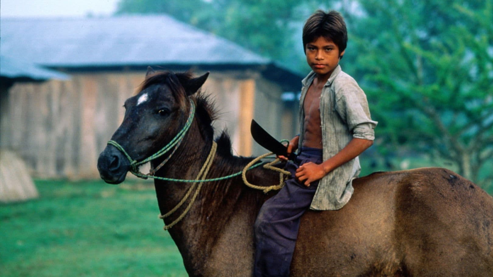 Poster backdrop for A Place Called Chiapas