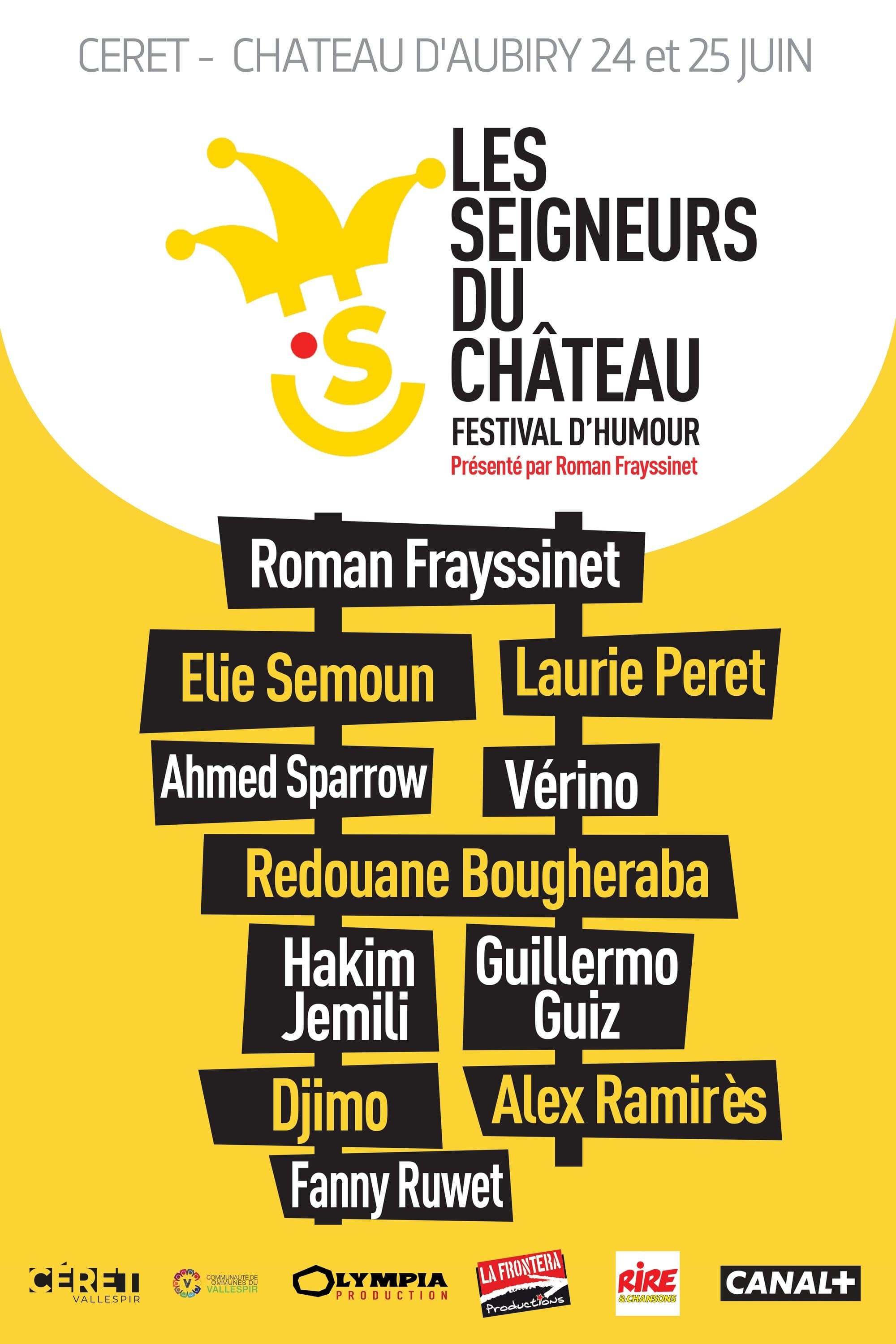 Poster backdrop for Les seigneurs du château