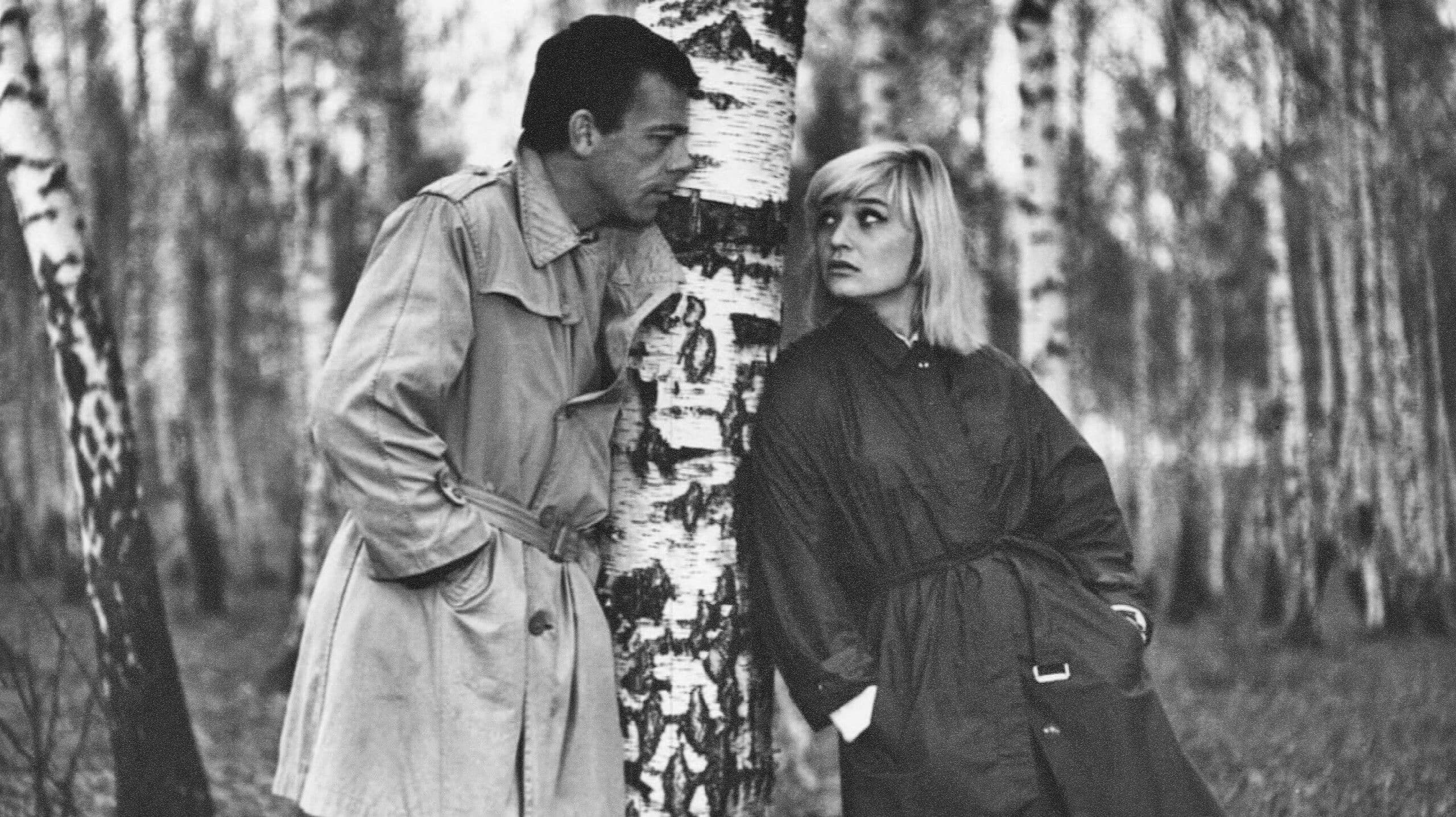 Poster backdrop for To Love