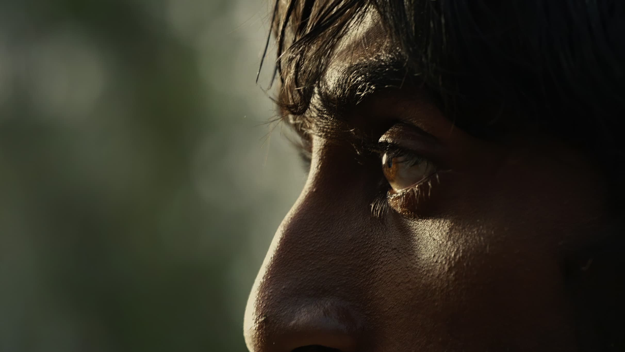 Poster backdrop for Mushrooms