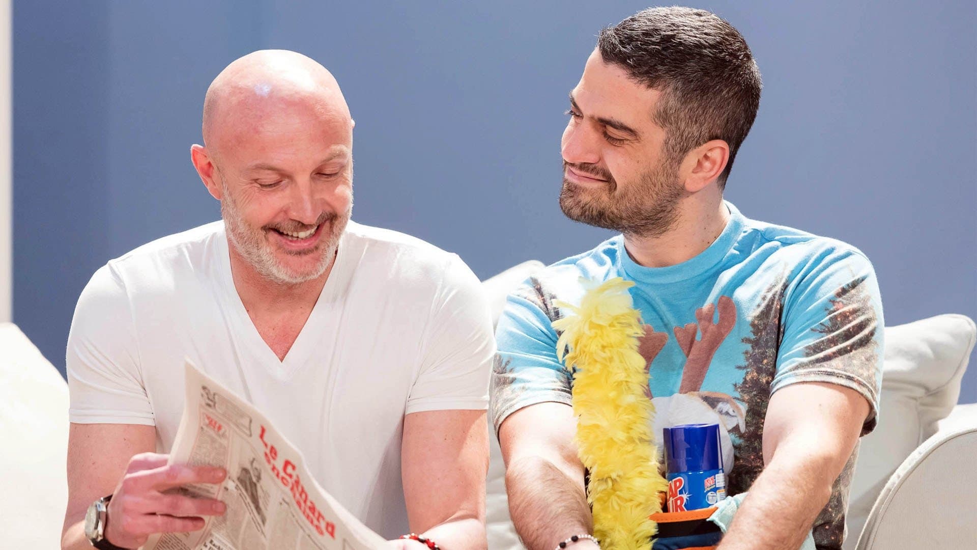 Poster backdrop for Ma belle mère et moi... 9 mois après