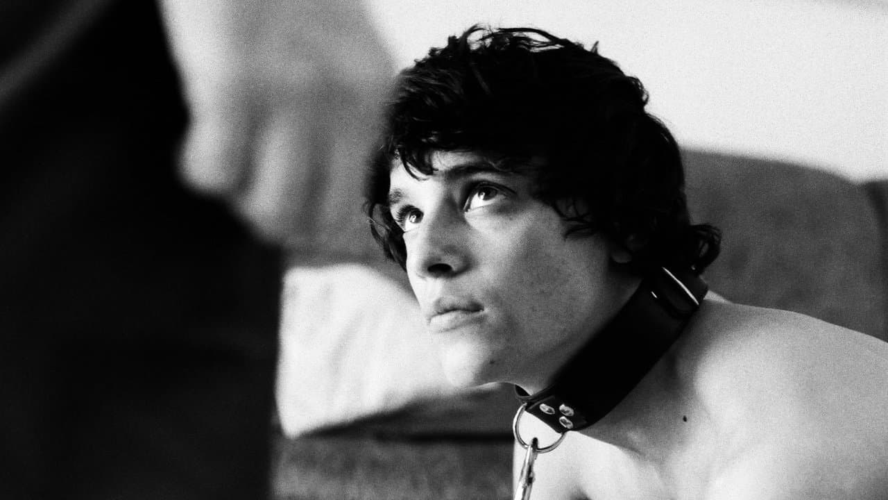 Poster backdrop for Punish Me