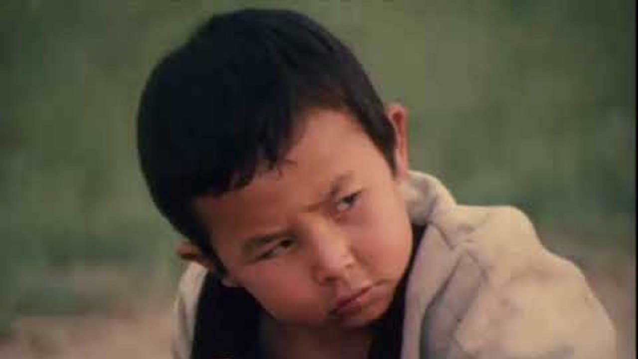 Poster backdrop for Shok and Sher