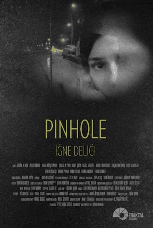 Poster backdrop for Pinhole