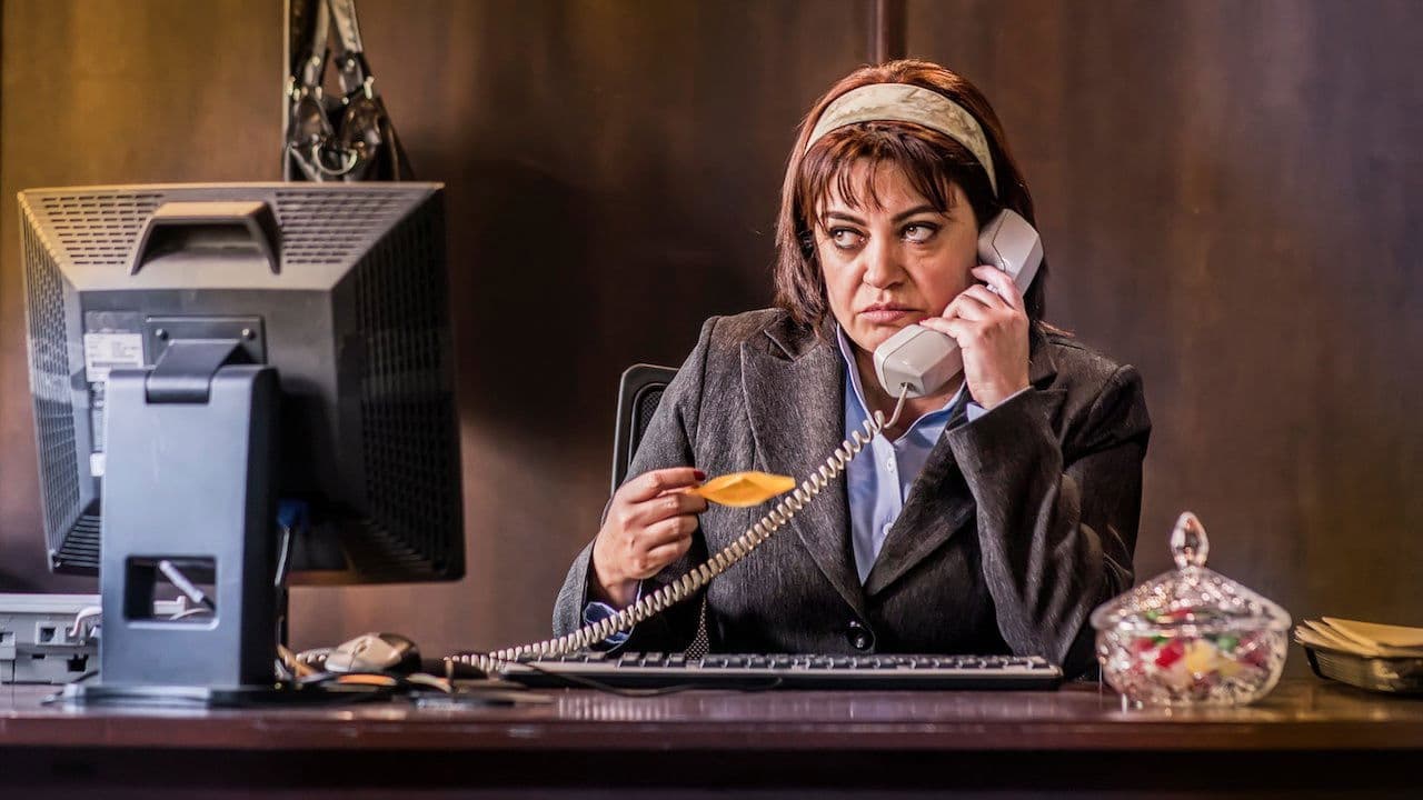 Poster backdrop for Amalia, la secretaria