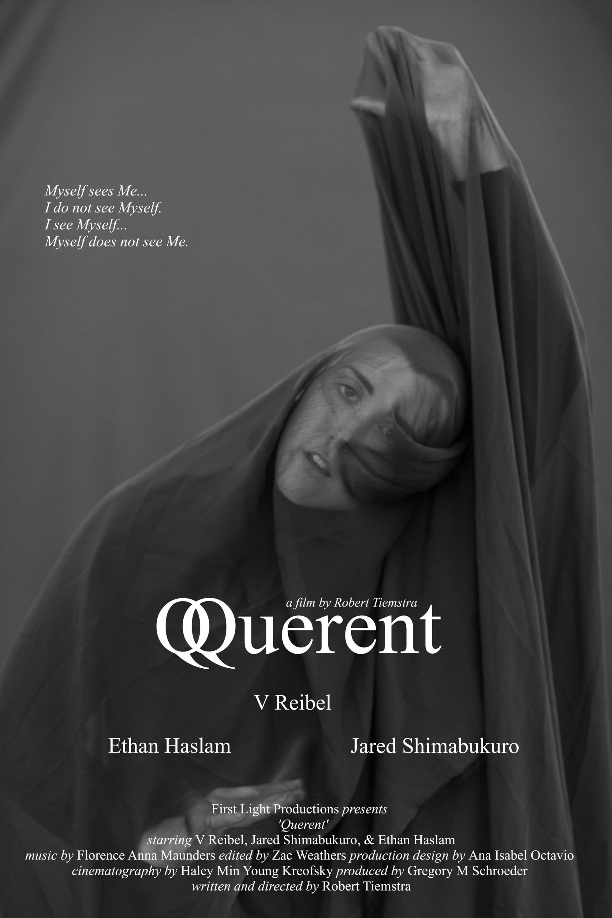 Poster backdrop for Querent